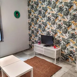 Coqueto Donkey Appartamento